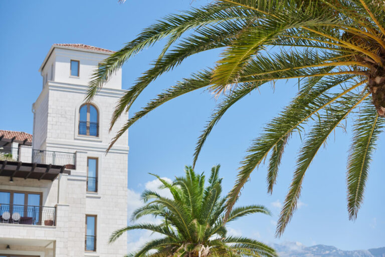 Alicante Properties