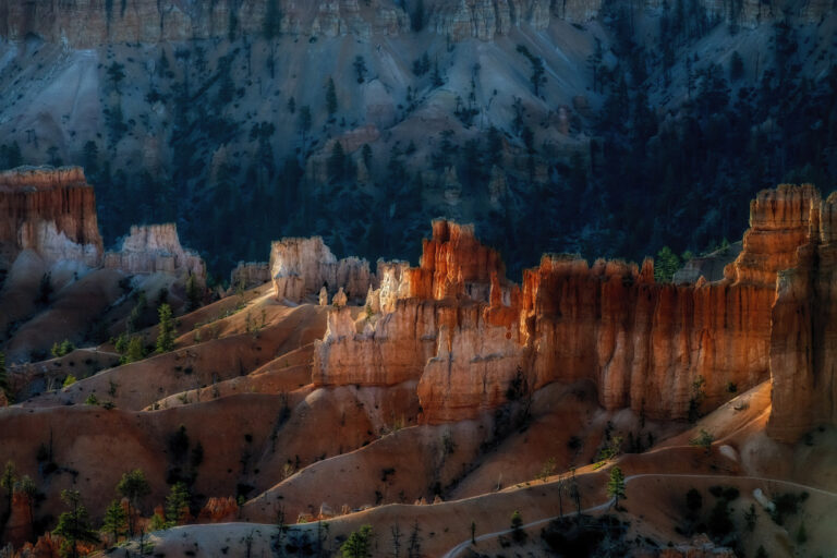 canyongross com